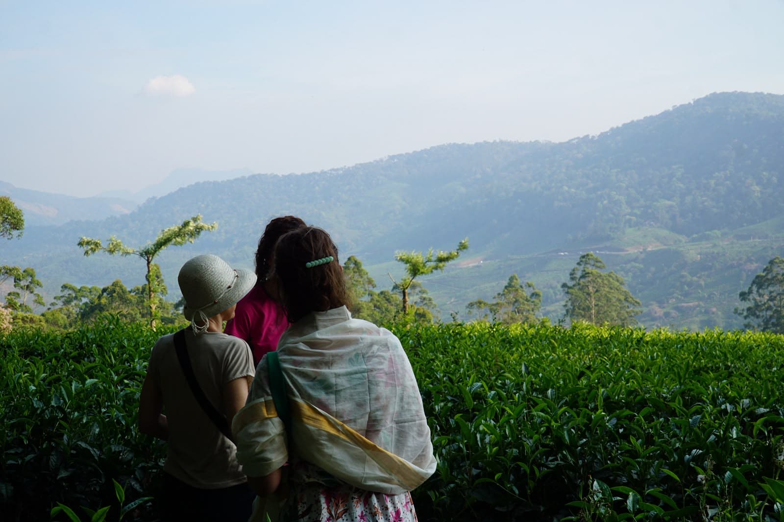 Two travellers looking out over a tea estate towards blue ranges.