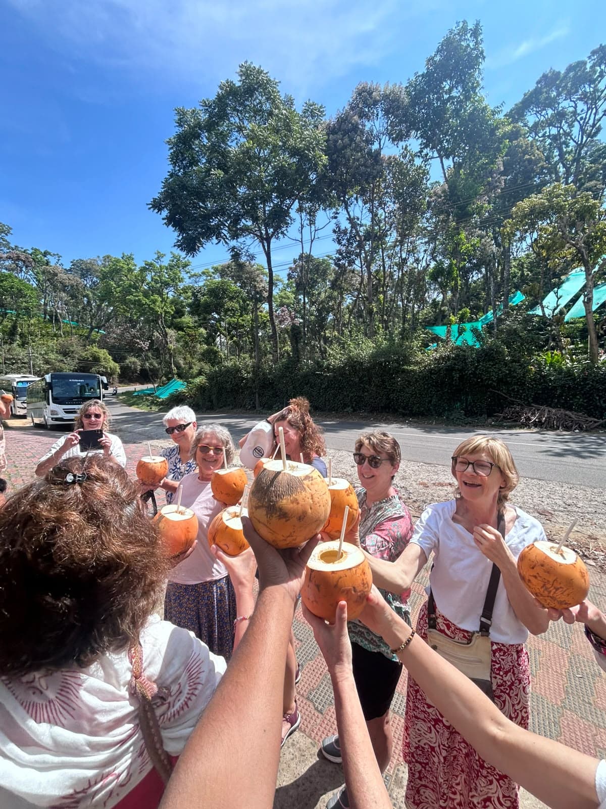 Travellers raising tender coconuts together in a toast on a roadside under bright sky.