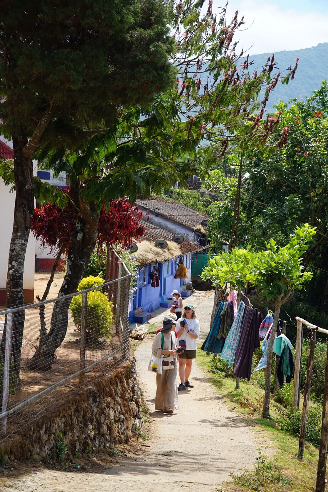 A quiet village lane with washing hung on a line, flowering trees and a house behind.